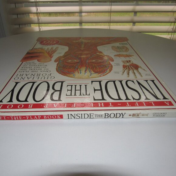 Inside the Body – DK Lift-the-Flap Human Anatomy Book by Giuliano Fornari - Picture 2 of 3